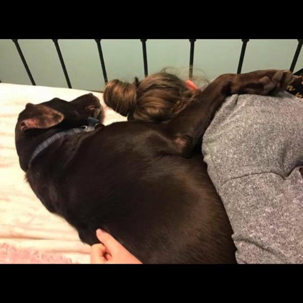 Meet your Posher, Hannah